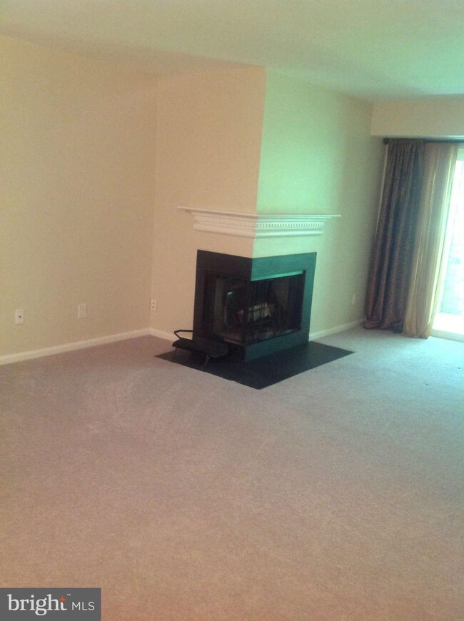 5827 Cove Landing Rd unit 303, Burke, VA 22015 - photo 2