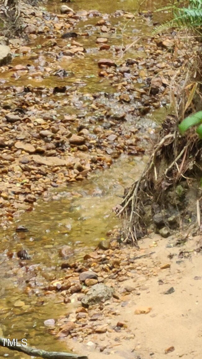 babbling brook
