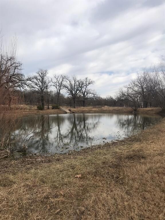 101 Leatherman Ln, Weatherford, TX 76088 - photo 3