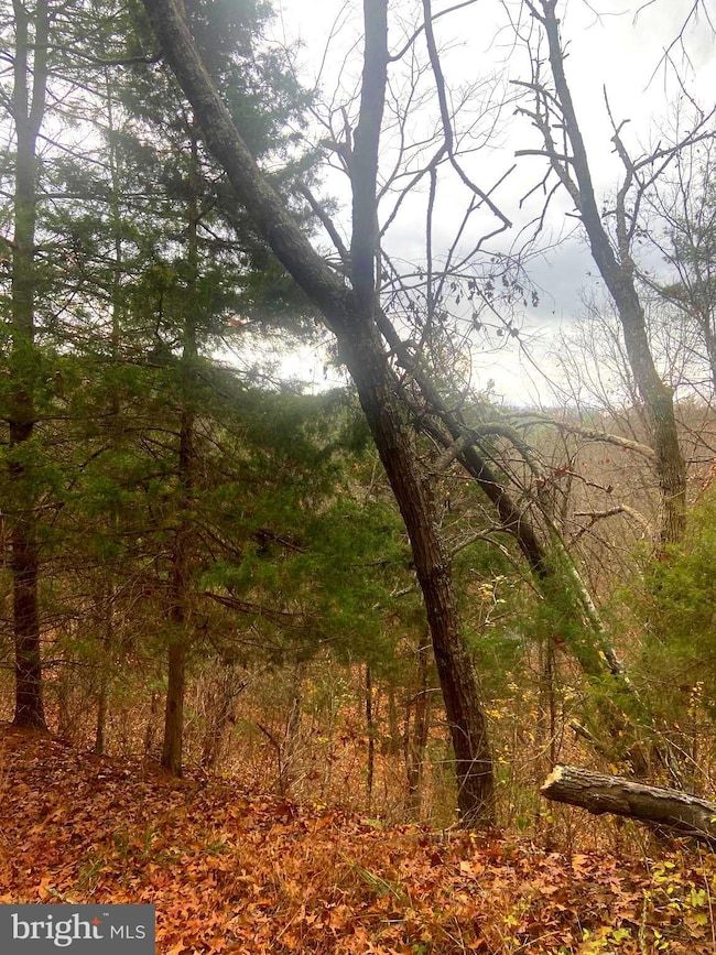 0 Spitz Ln unit VASH2013020, Basye, VA 22810 - photo 7