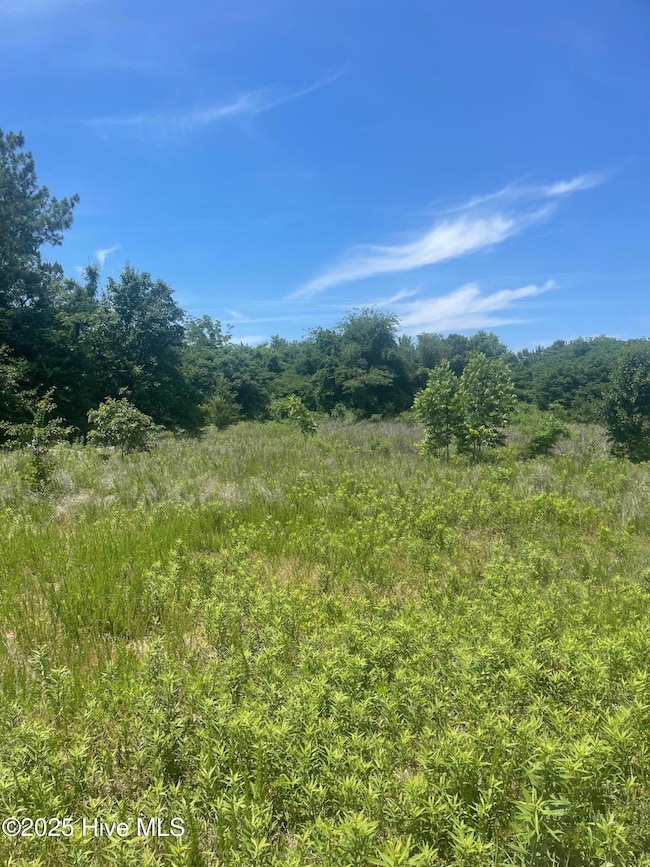 0 Easy St unit 100509135, La Grange, NC 28551 - photo 3