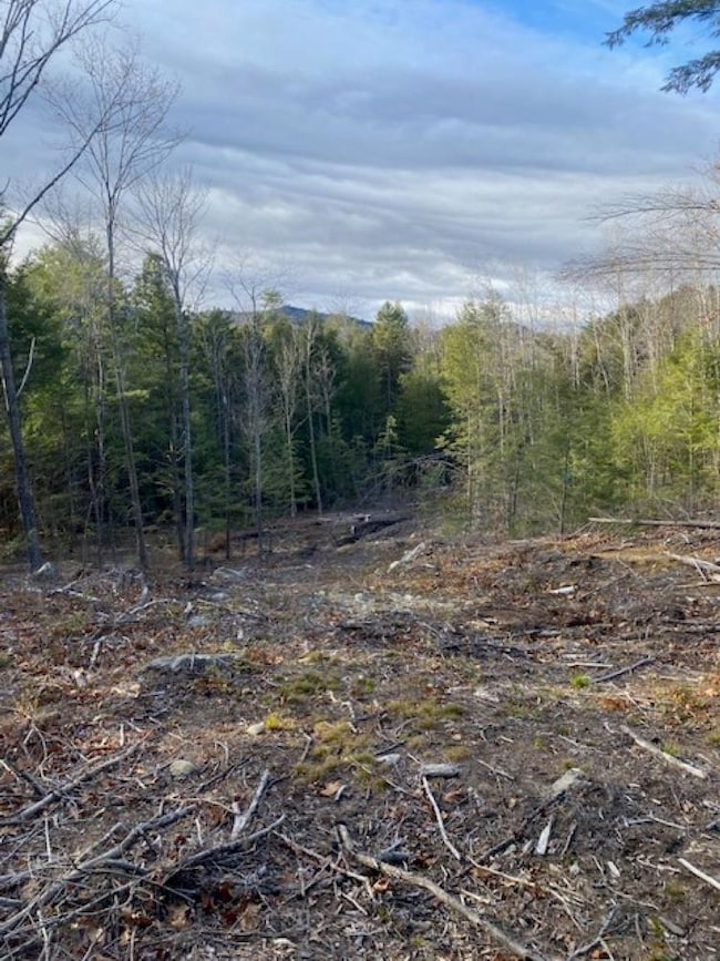 15-12-10-13 Jacob Hall Farm Rd, Rumney, NH 03266 - photo 3