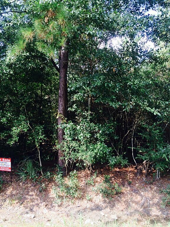 0 Friendship Ln, Conroe, TX 77385 - photo 6