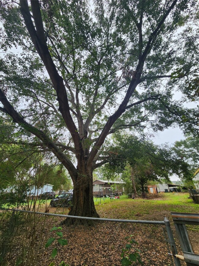 17822 Brook Way, Hockley, TX 77447 - photo 4