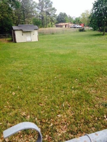 3022 Bloomfield Dr, Macon, GA 31206 - photo 3