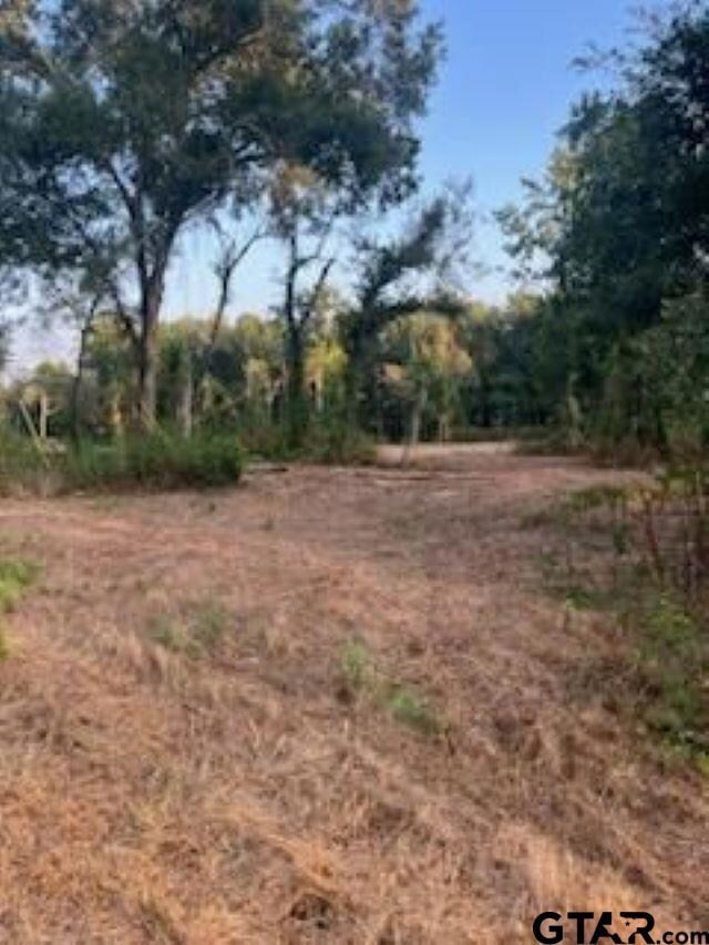 11532 County Road 219, Tyler, TX 75707 - photo 6