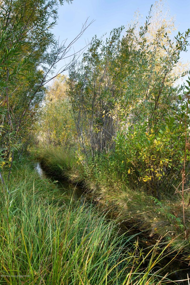 Seasonal Stream