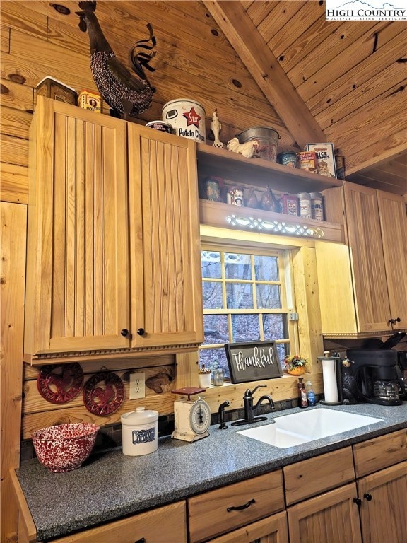 Beautiful kitchen cabinets, decor and solid surface countertop