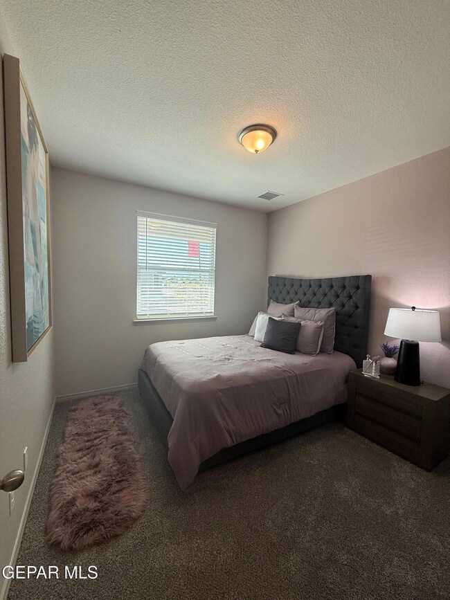 10709 Michael Irvin St, El Paso, TX 79924 - photo 6