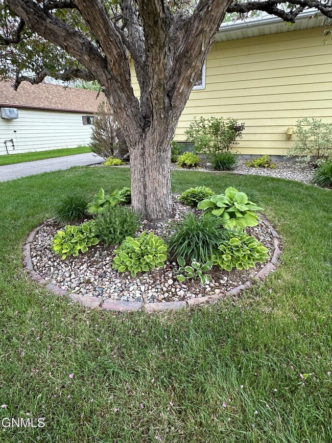 Beautiful Landscaping