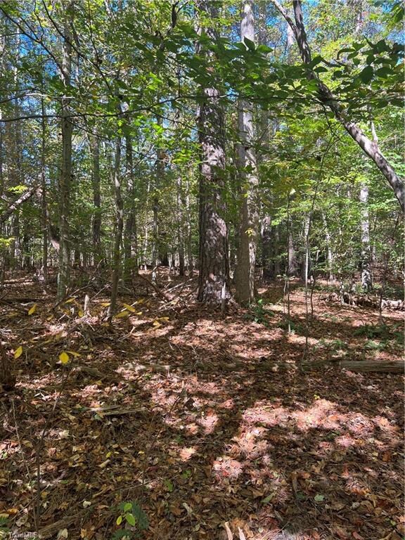 0000 J C Teague Rd, Staley, NC 27355 - photo 3