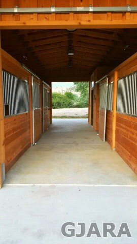 3 stall horse stable