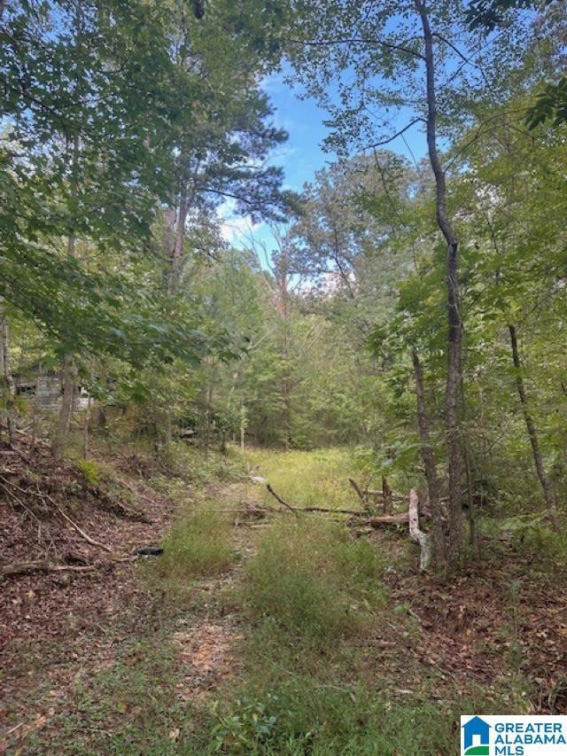 2227 Harris Wright Dr, Birmingham, AL 35242 - photo 5