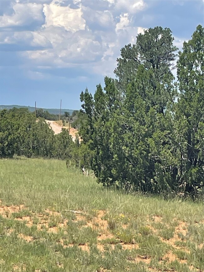 000 County Road B29a, Villanueva, NM 87583 - photo 5