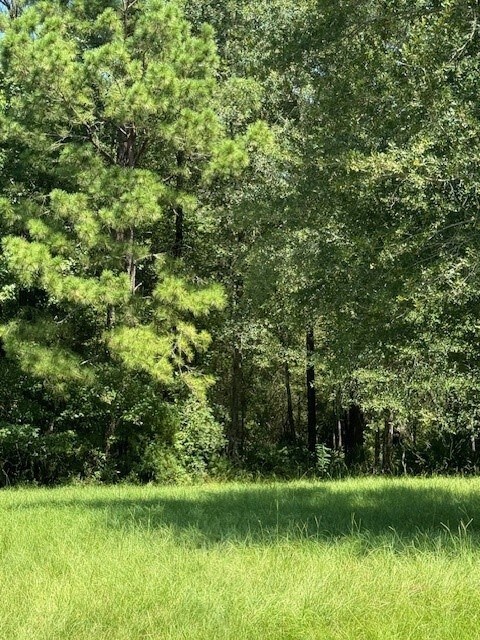 12 Firewood Rd, Huntsville, TX 77340 - photo 2