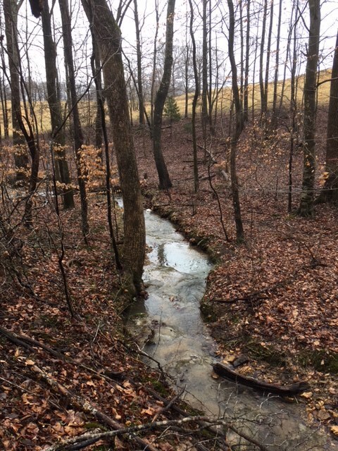 141 Jeremiah Rd, Cookeville, TN 38506 - photo 7