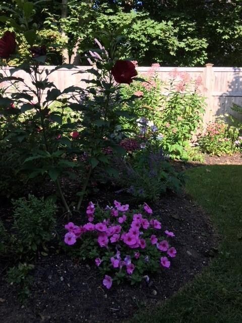 MORE FLOWERS