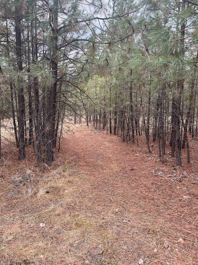 nka Rocky Top Way, Deer Park, WA 99006 - photo 4