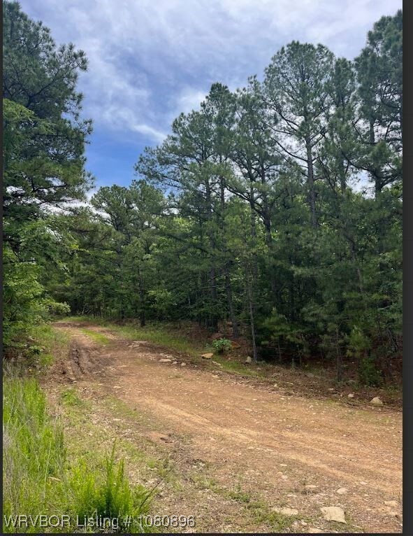 TBD Rural Latimer County, Red Oak, OK 74563 - photo 3