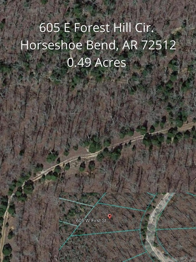 605 W Forest Hills Cir, Horseshoe Bend, AR 72512 - photo 3