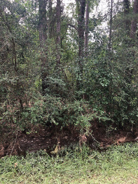 0 Shadberry, Magnolia, TX 77354 - photo 3