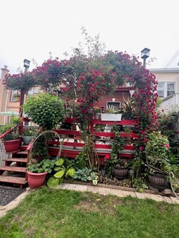 Yard