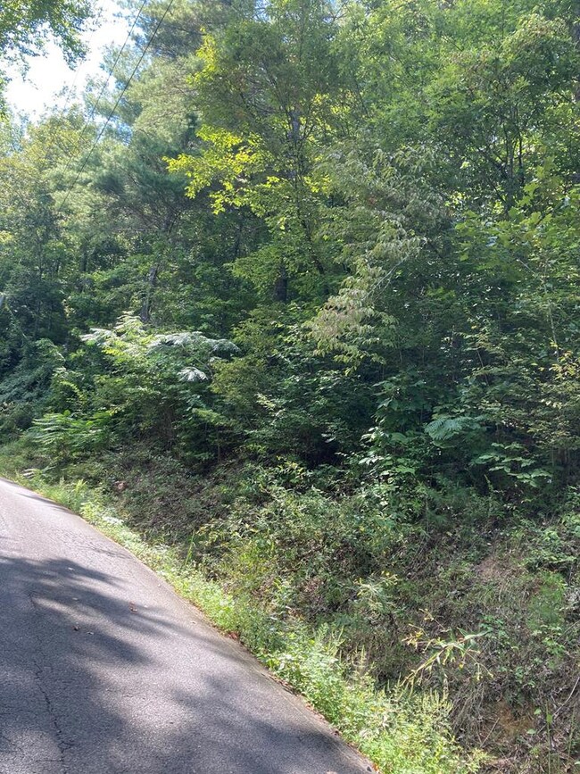 0 Lots 14 15 and 16 Sunset Rd unit 244941, Sevierville, TN 37862 - photo 3