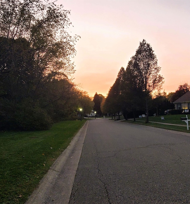 612 Carriage Way, Davison, MI 48423 - photo 3