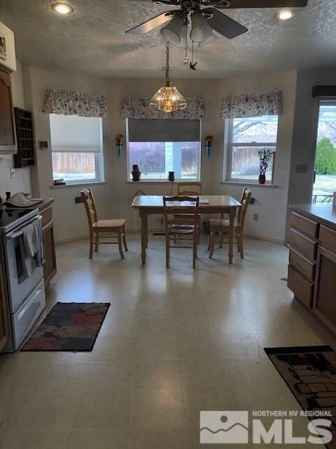 923 Driftwood Ln, Fallon, NV 89406 - photo 5