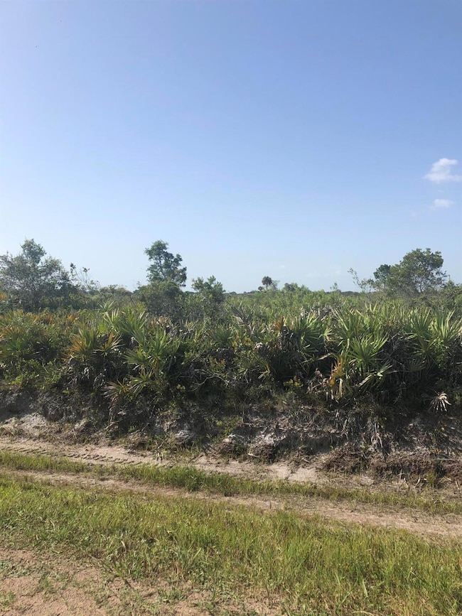 19775 NW 242nd St, Okeechobee, FL 34972 - photo 3
