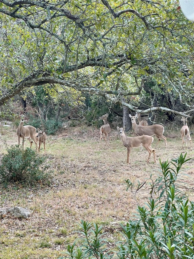 View of nature