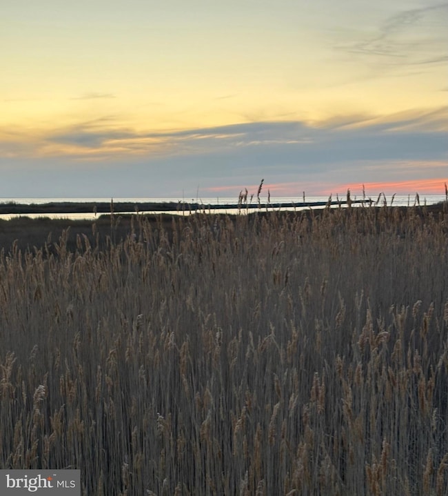 Parcel 0017 Marsh Rd, Smith Island, MD 21824 - photo 2