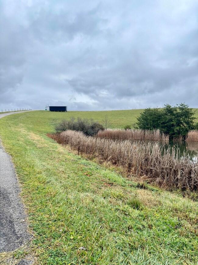 22 Cr-1636, Morehead, KY 40351 - photo 4