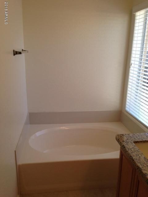 Master Bath Oval Soaking Tub
