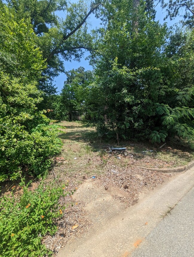 1207 Eager Dr, Albany, GA 31707 - photo 3