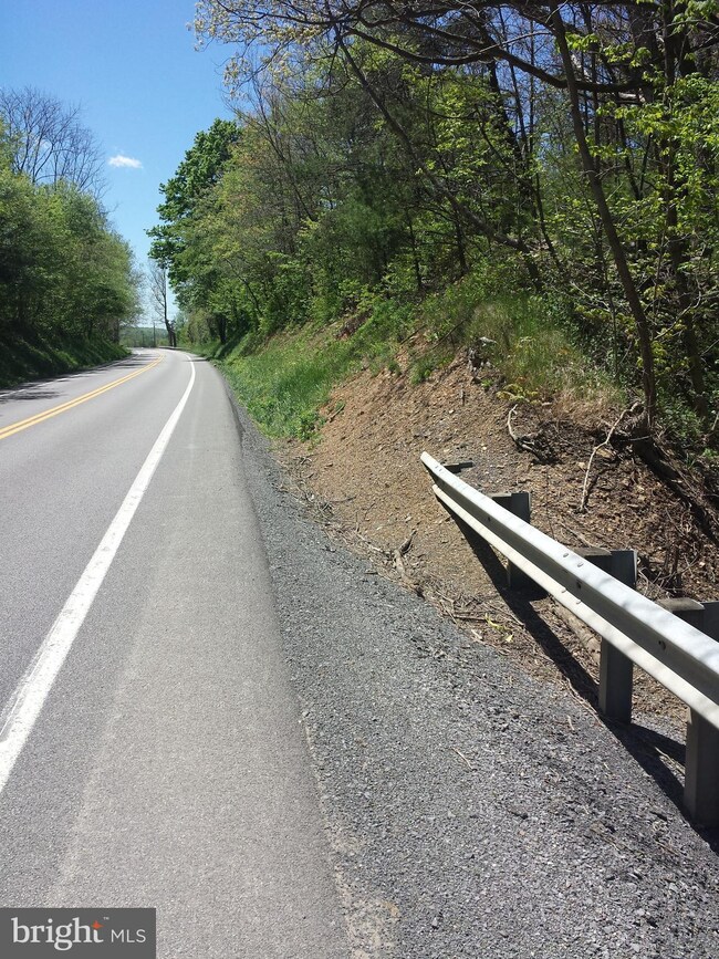 0 Buttercup Dr unit 1000146837, Mathias, WV 26812 - photo 6