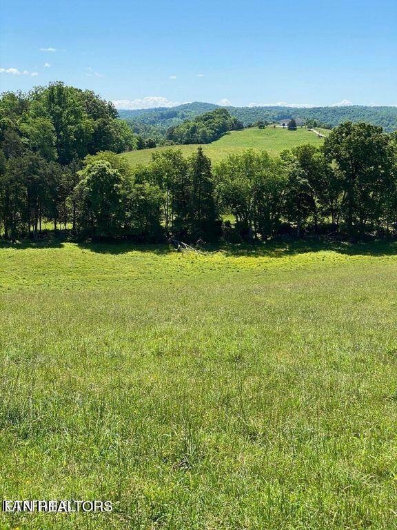 Lot10 Chapman Rd, Lafollette, TN 37766 - photo 3
