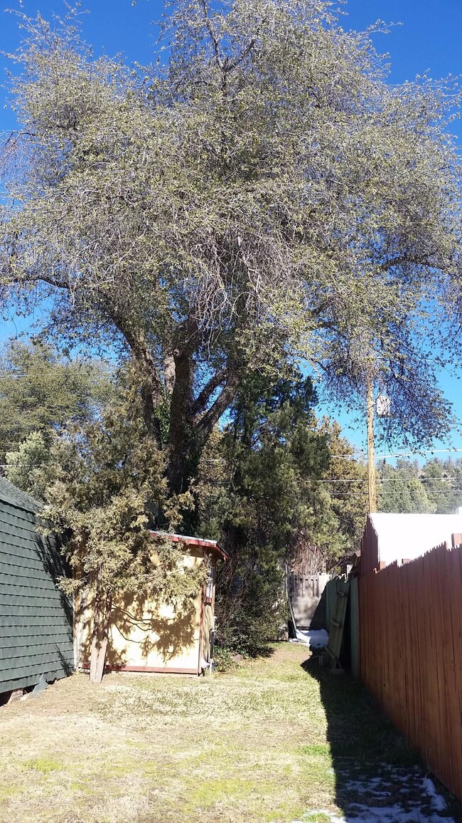 Side Yard