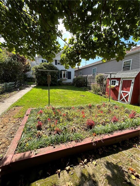 back yard