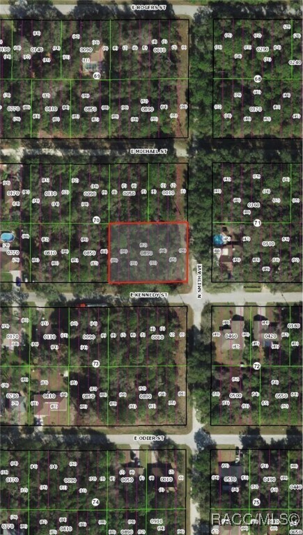 3345 E Kennedy St, Inverness Highlands North, FL 34453 - photo 3