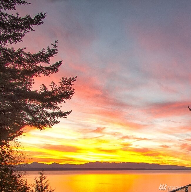 15724 72nd Ave W unit Lot 4, Edmonds, WA 98026 - photo 3