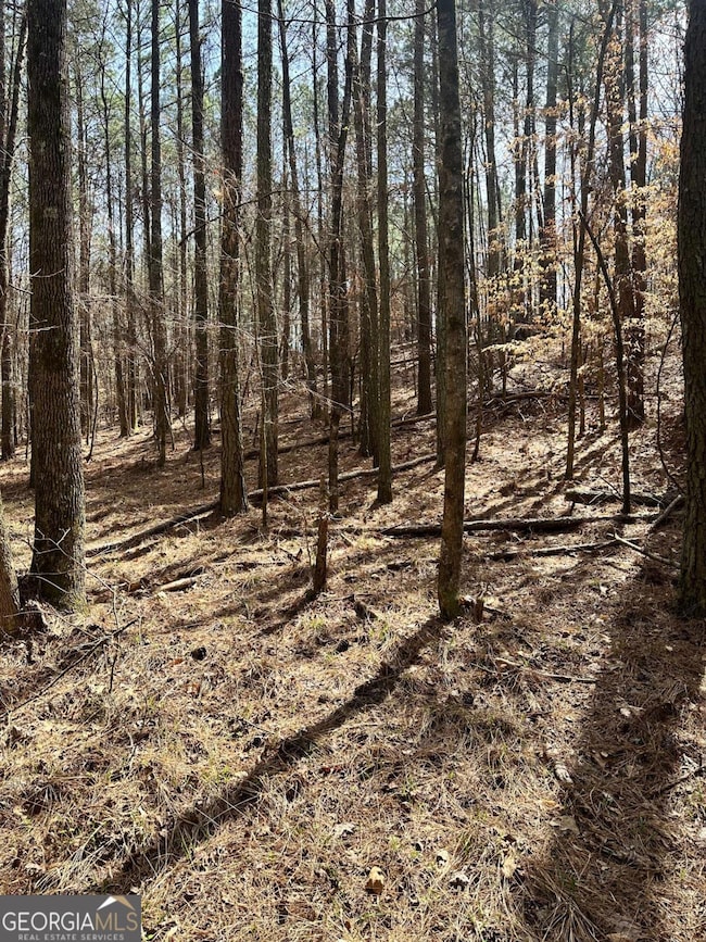 0 Autry Rd SW unit 10489984, Plainville, GA 30733 - photo 2