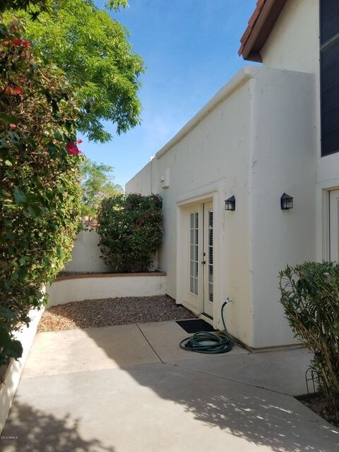 Back yard 2