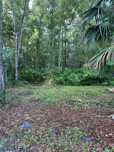 unlisted-address, Sanford, FL 32773 - photo 4