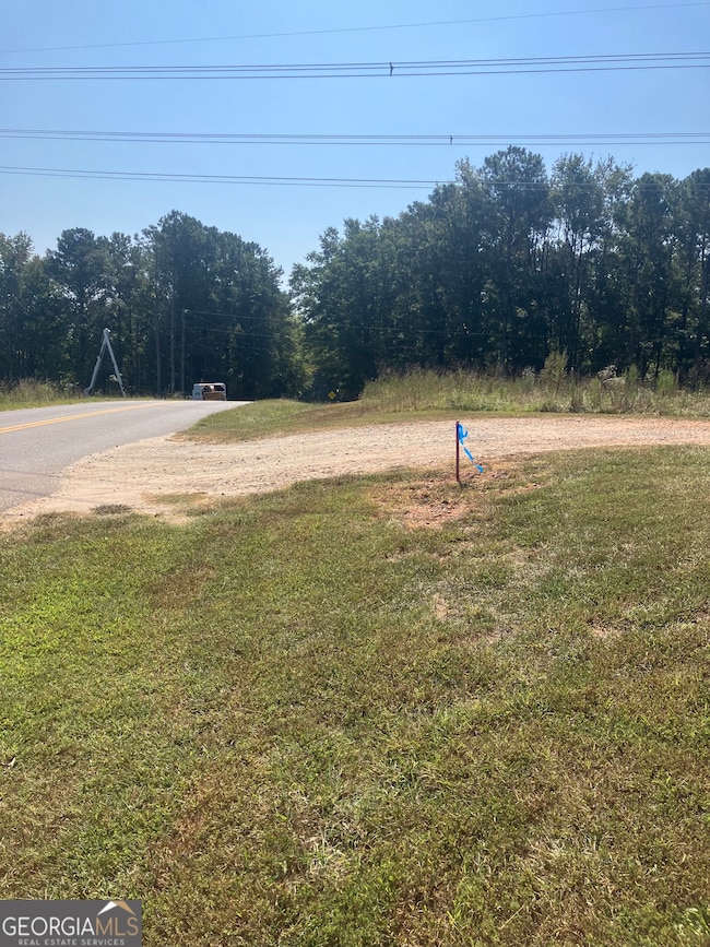 0 Teasley Trail unit 10600969, Moreland, GA 30259 - photo 4