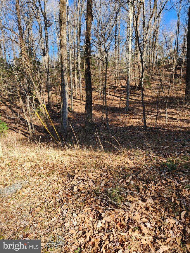 Lot 72 Plantation, Montross, VA 22520 - photo 2