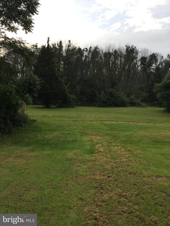 297 Pontzer Rd, Strasburg, VA 22657 - photo 6