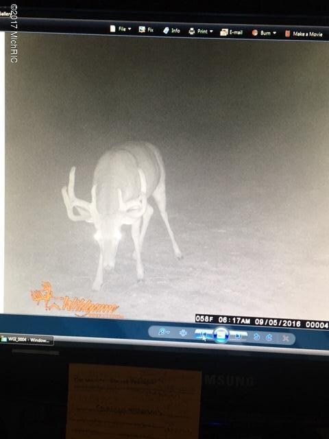 0 E 1st St, Custer, MI 49405 - photo 4