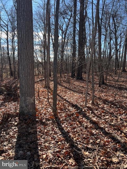 0 Five Forks Rd unit PAYK2095050, Stewartstown, PA 17363 - photo 2