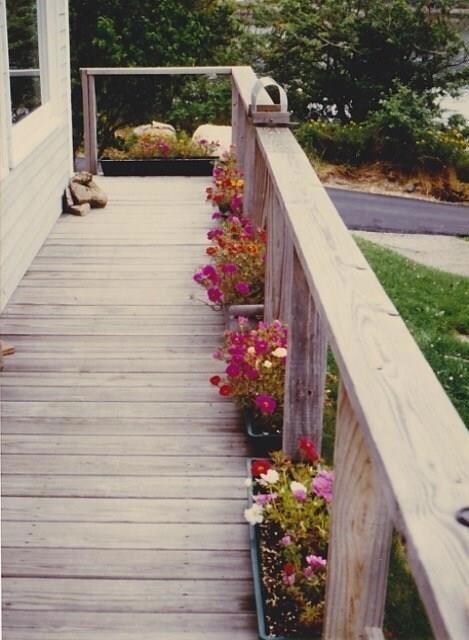 The deck in the summer time